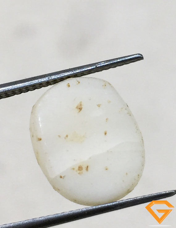 6.50 ratti/5.94 ct Natural Certified  White Coral/सफ़ेद मूंगा